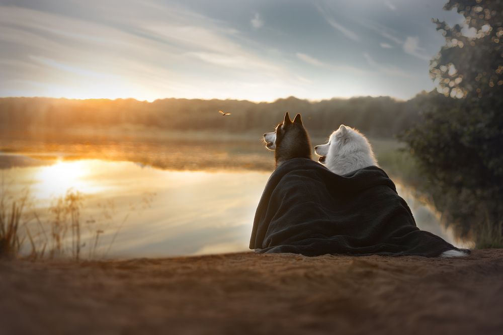 на закате...