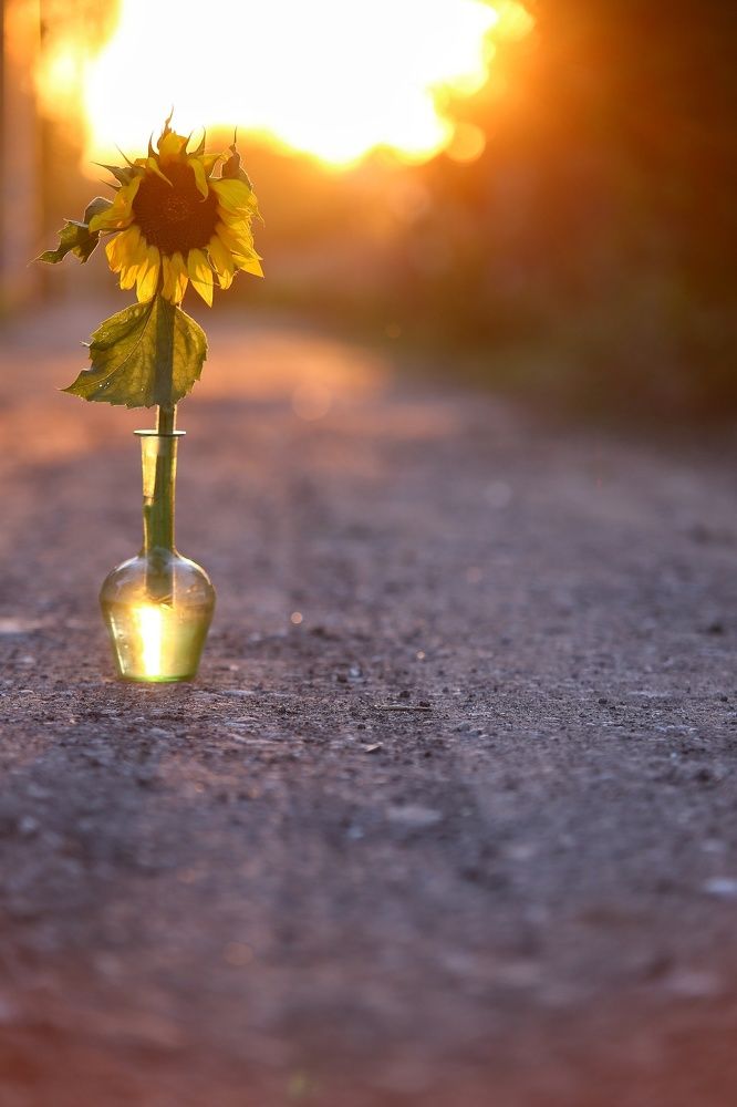 Photograph by Анжелика Сидорова