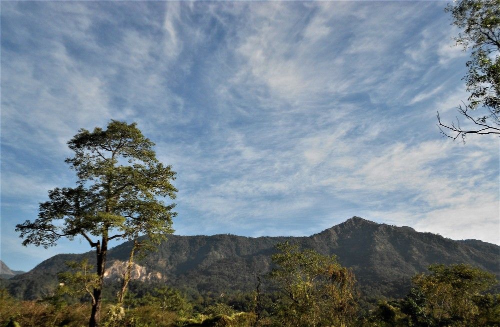 Jayanti Hills