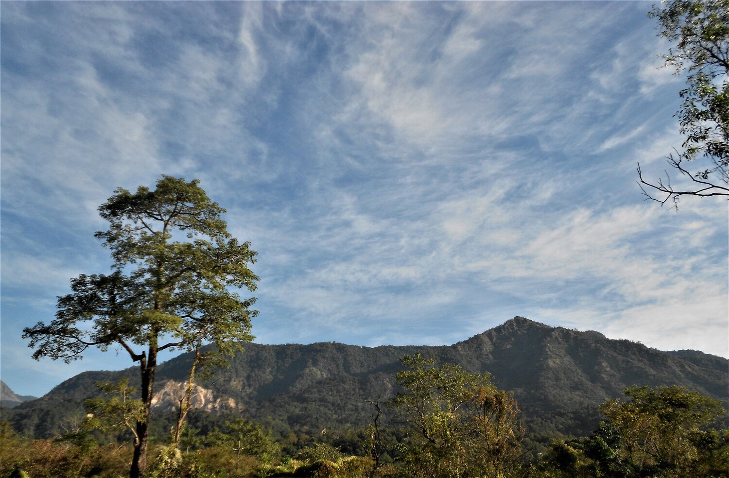 Jayanti Hills
