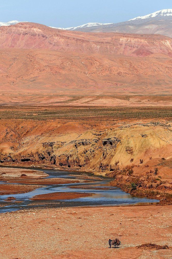 Женщина, несущая хворост