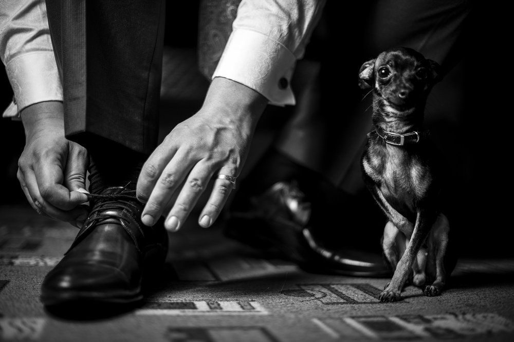 Изюминка шика