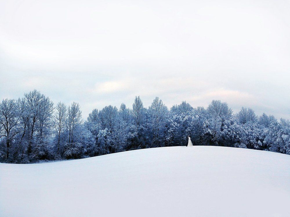 Бескрайняя любовь