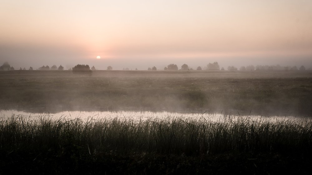 Пробуждение