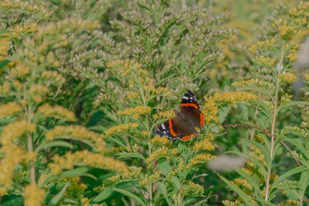 Photograph by Александр Иванов