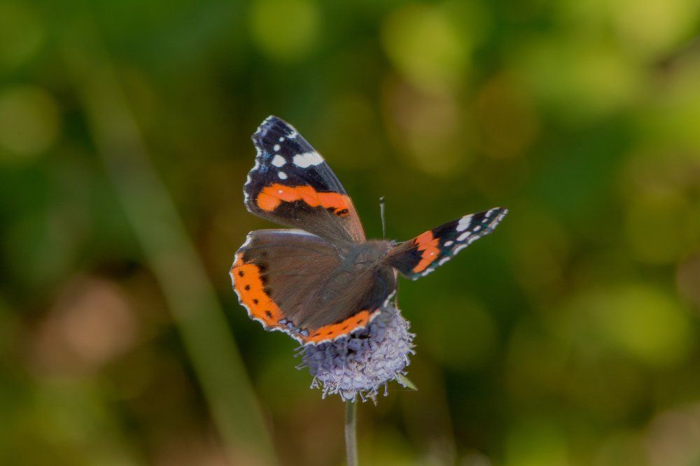 Photograph by Александр Иванов