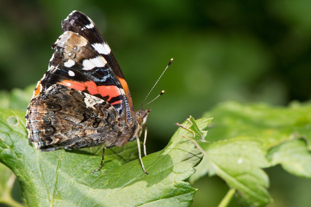 Photograph by Александр Иванов