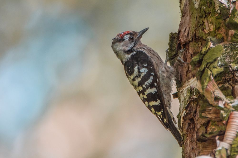 Photograph by Александр Иванов