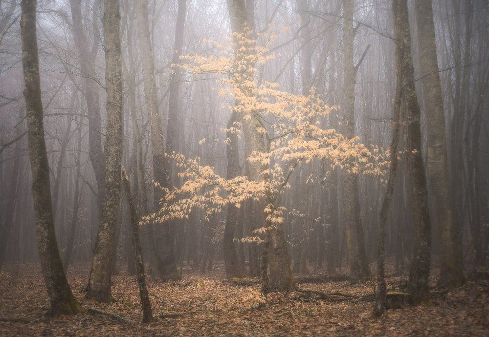Затерянный во времени