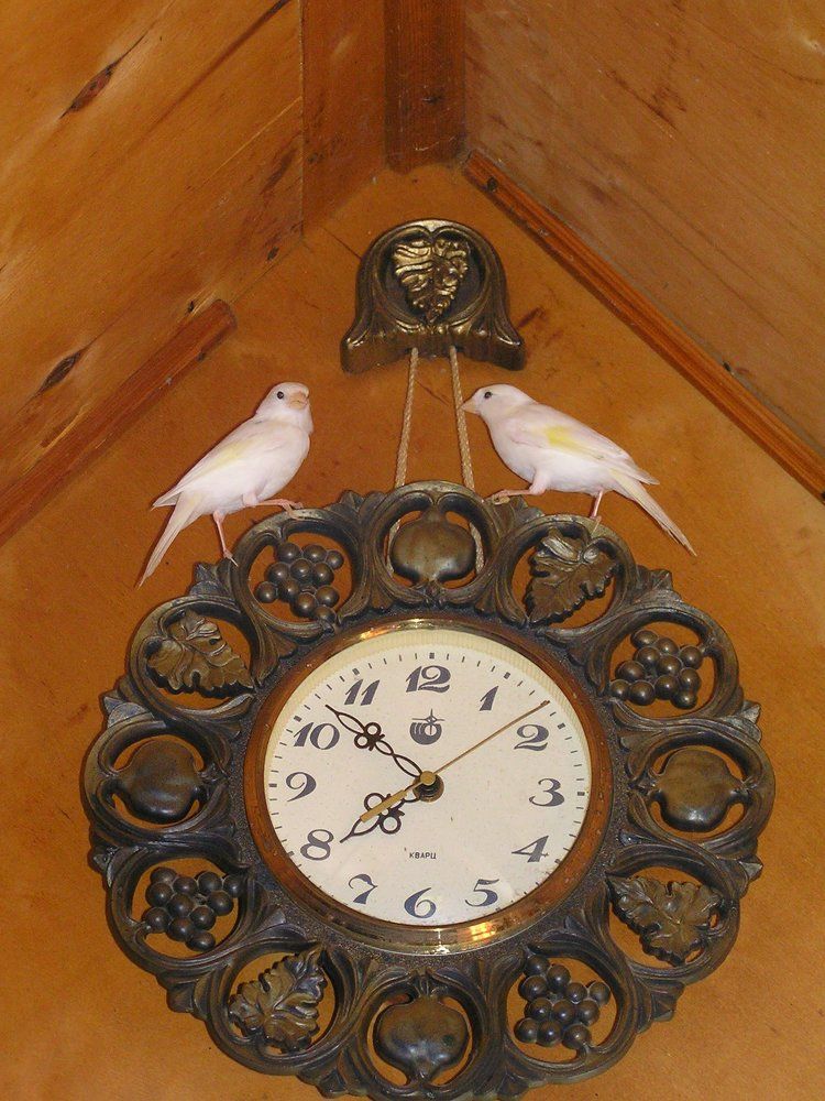 Стражи времени