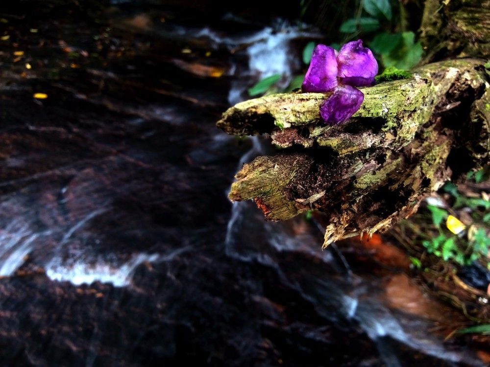 Grow Anywhere, because you can.