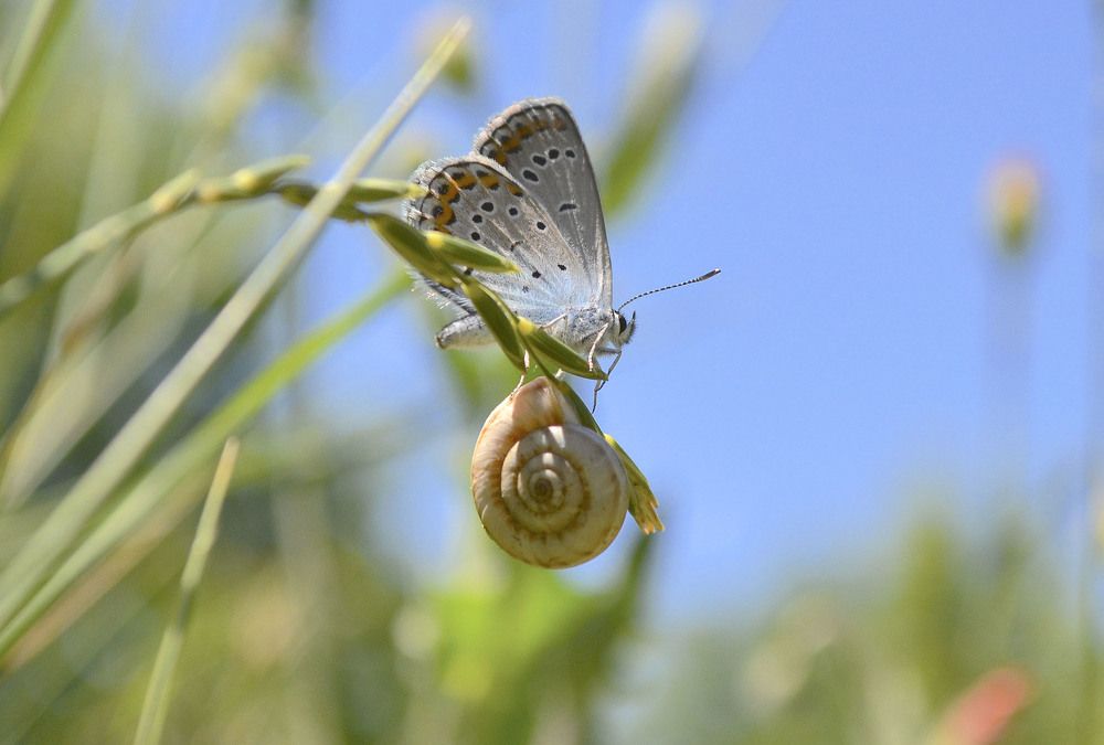 Photograph by Нелли Солодовникова
