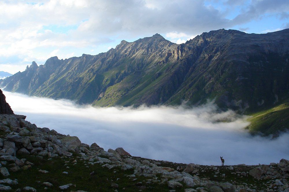 Выше тумана