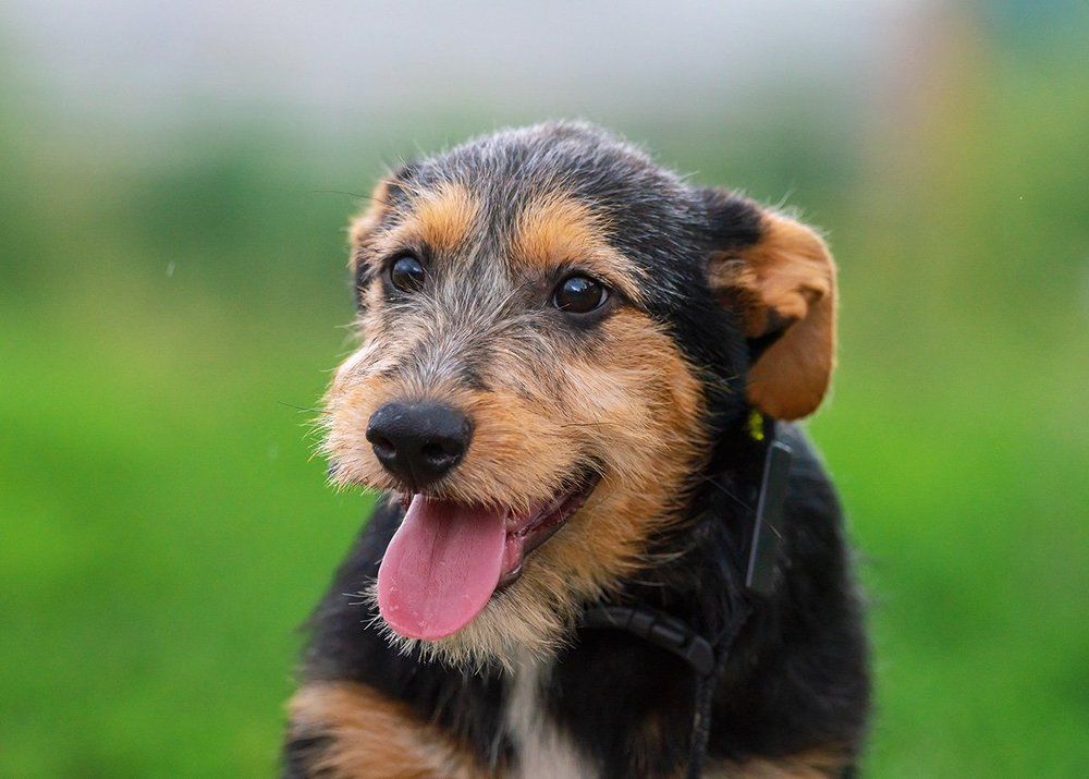 Вы меня возьмете домой?