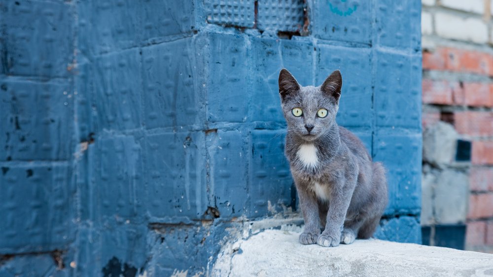 Осторожность