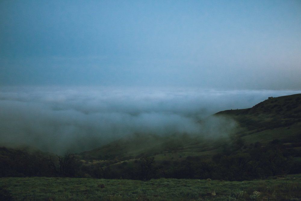 Сумеречная мгла