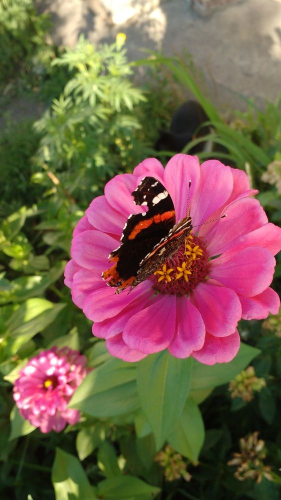 Photograph by Надежда