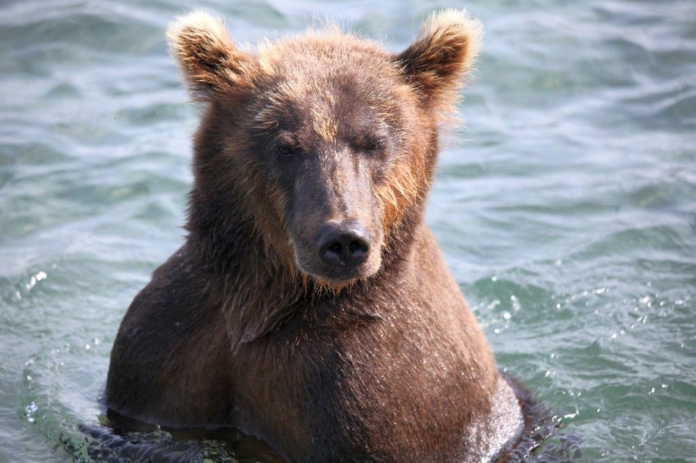 Photograph by Владимир