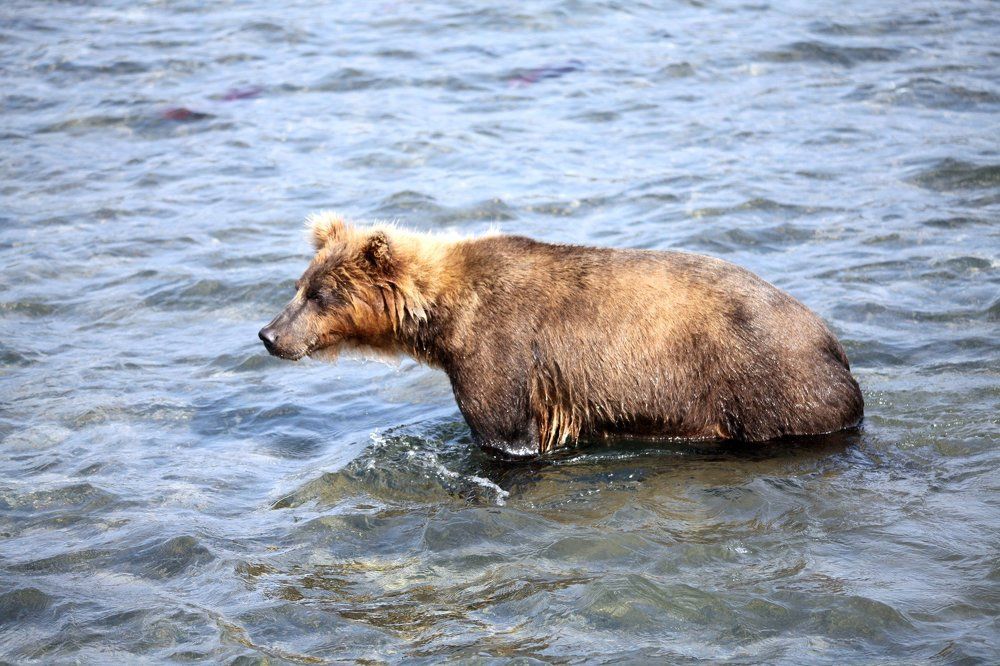 Photograph by Владимир