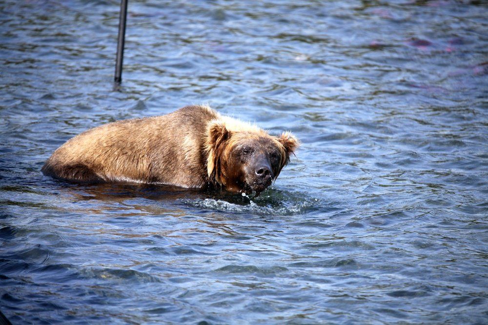 Photograph by Владимир