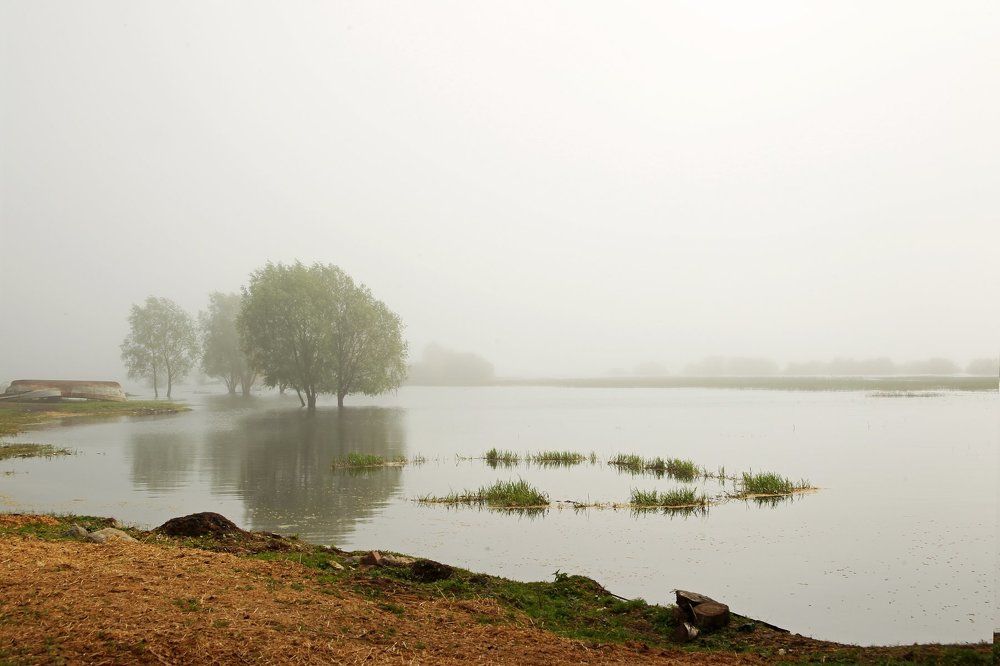 Туманы Ильменя -1