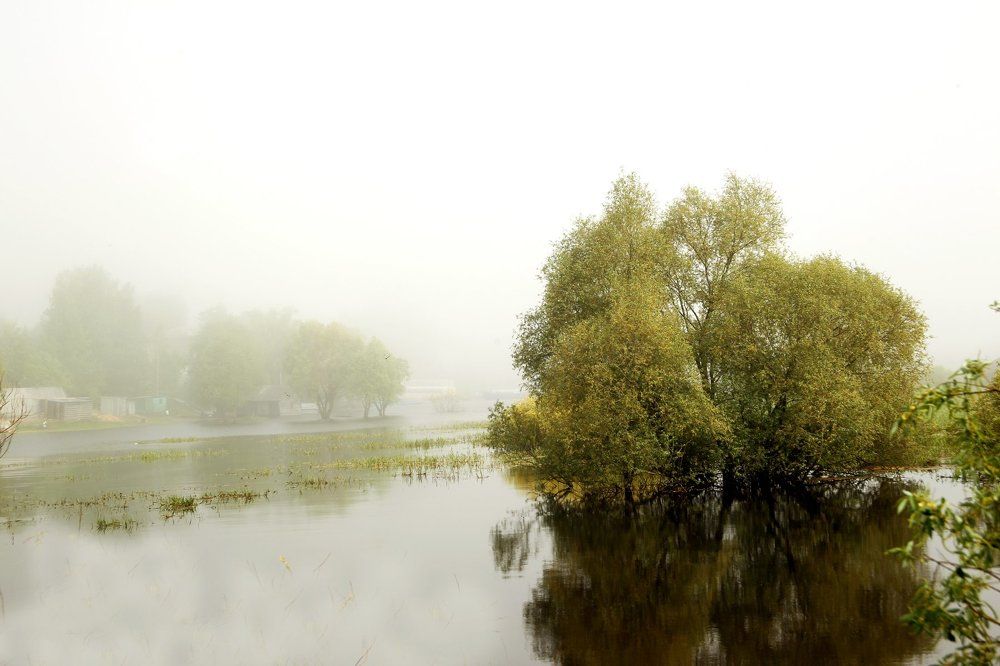 Туманы Ильменя -3