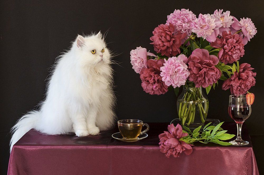 Любитель цветов