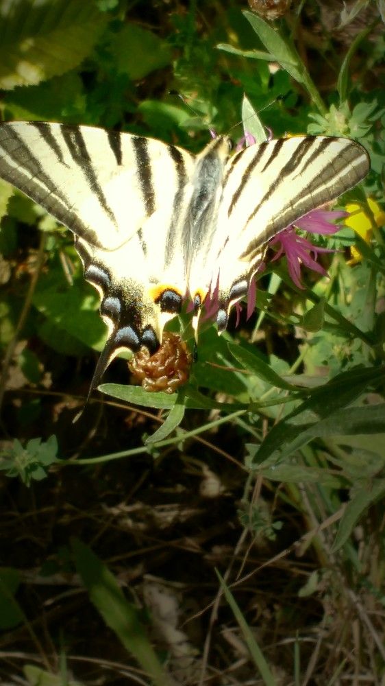 Photograph by Надежда