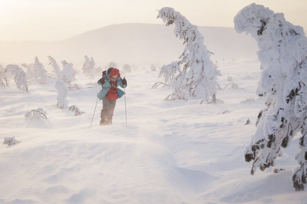 Дорогу осилит идущий