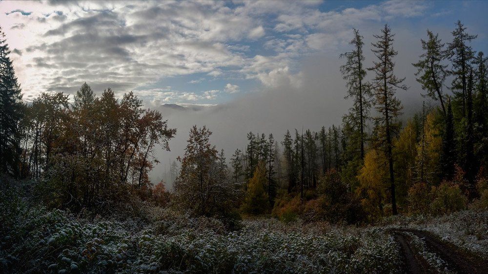 Туман надвигается