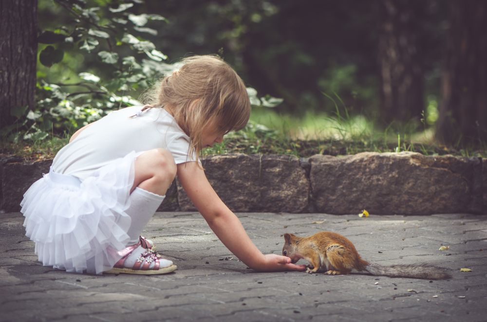 Девочка кормит белочку