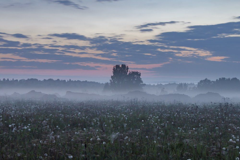 Под туманным одеялом