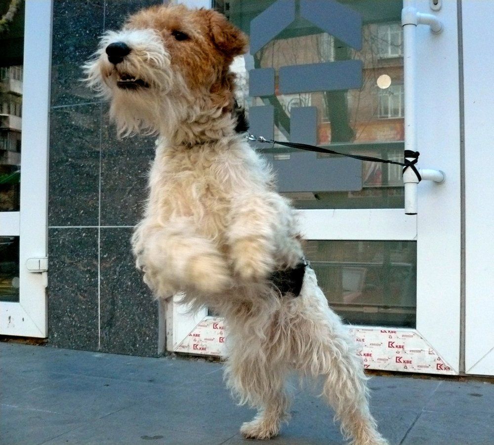 Photograph by леонид натапов