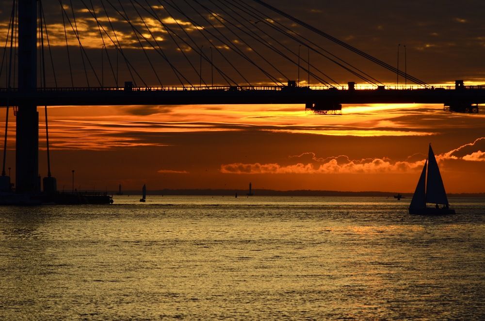 Корабли в моей гавани