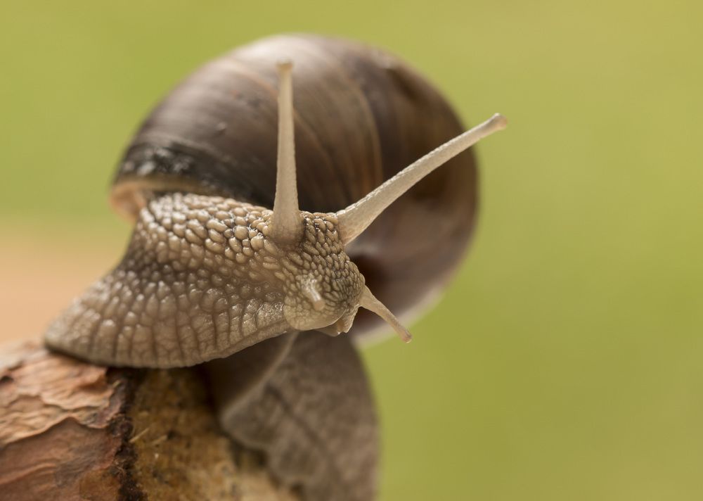 Познакомимся?