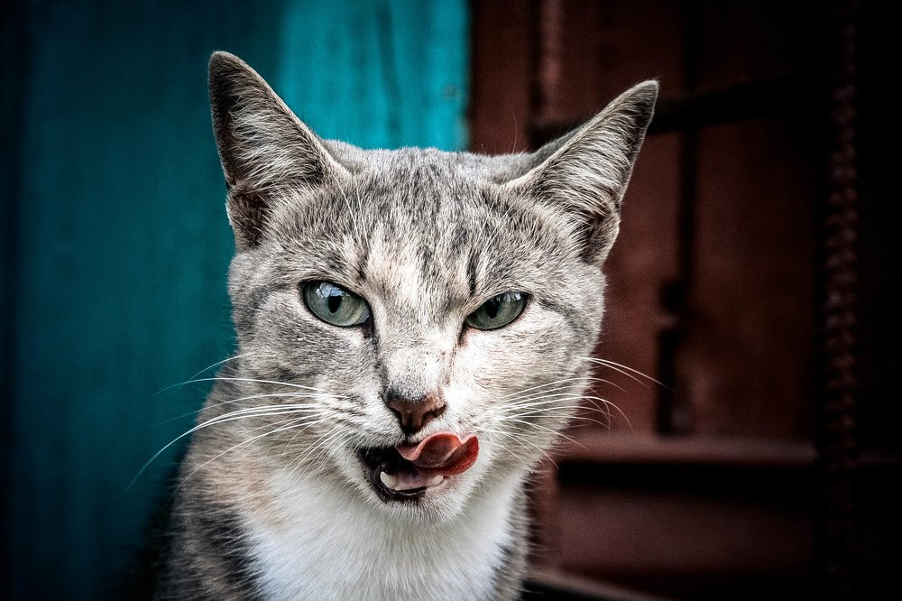 Photograph by Воробьёв Евгений