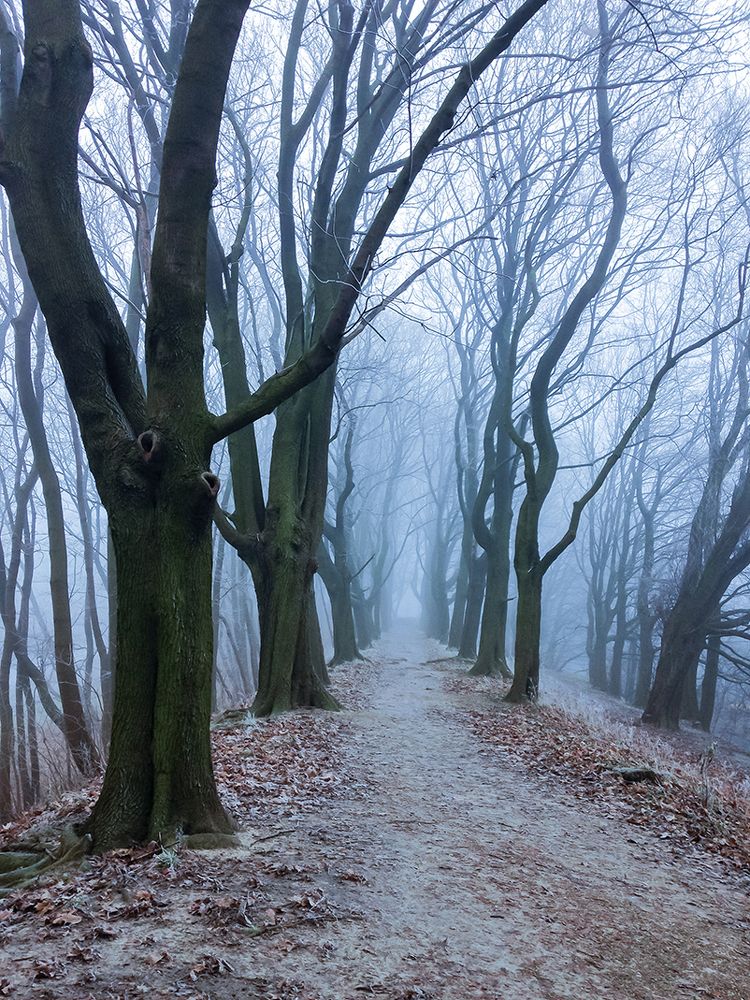 Страшные сказки