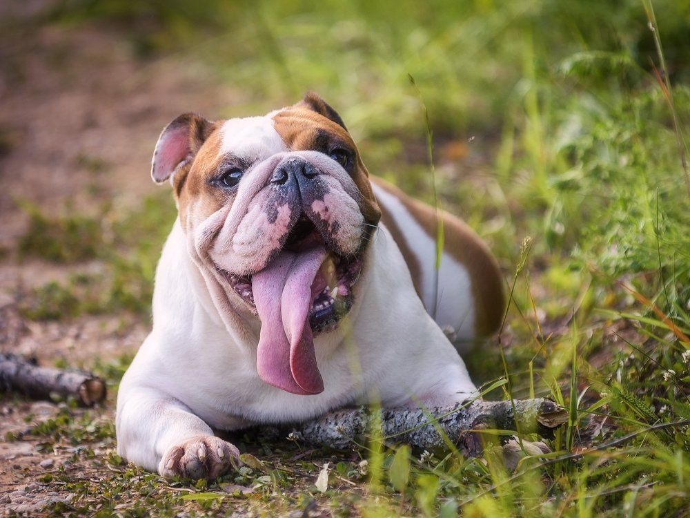 Photograph by Андрей Баскевич