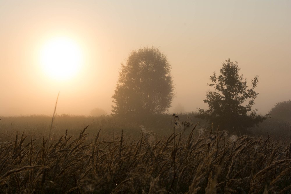 Фотография автора Сергей Сморчков