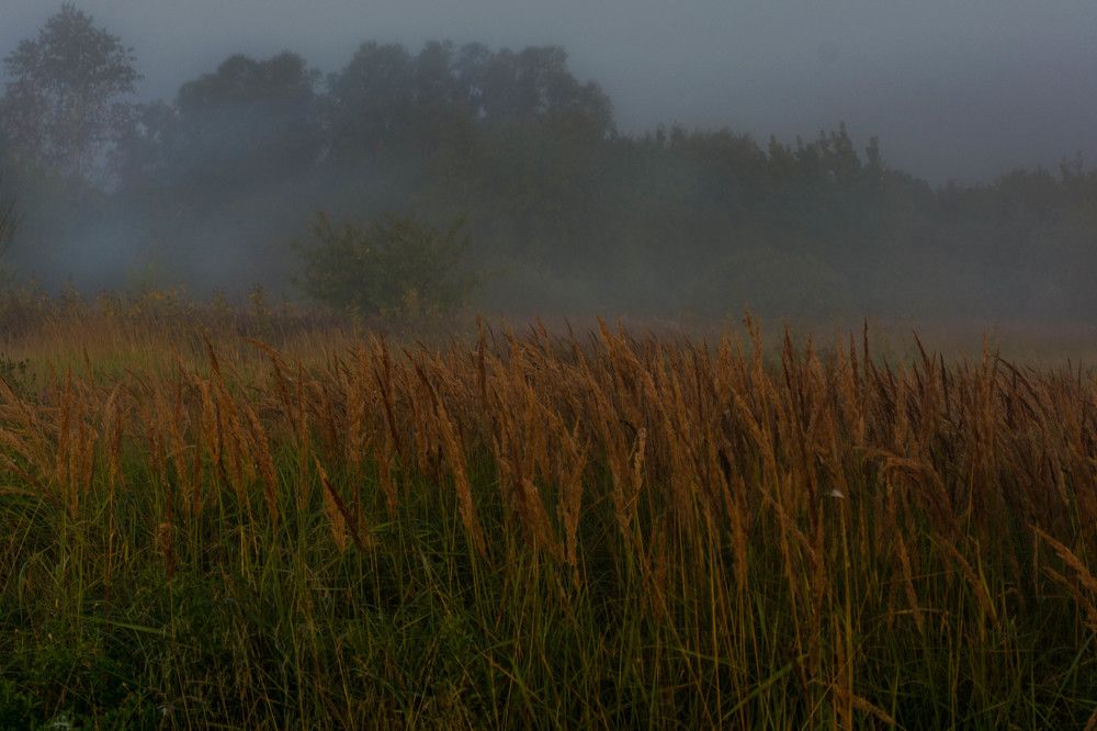 Фотография автора Сергей Сморчков