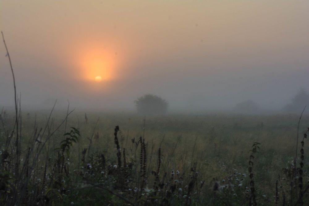 Фотография автора Сергей Сморчков