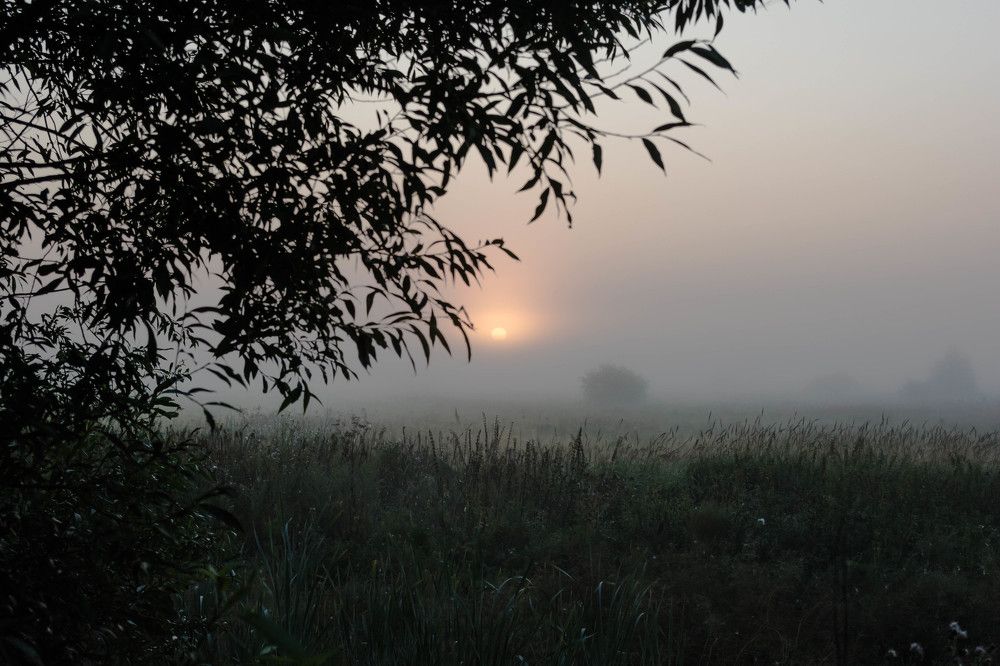 Фотография автора Сергей Сморчков