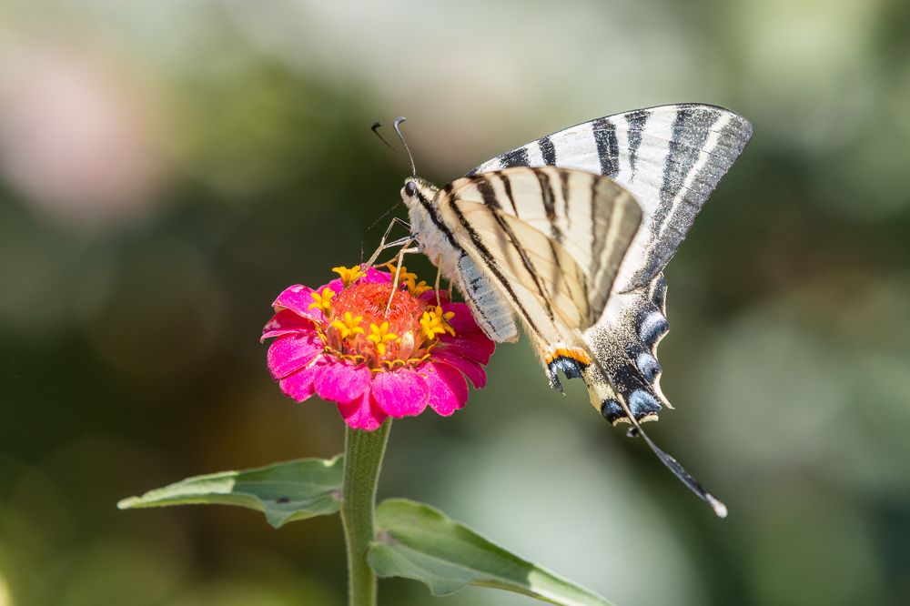 Photograph by Роман Дергунов