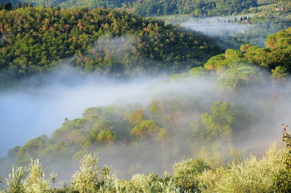 Фотография автора Андрей Симонов