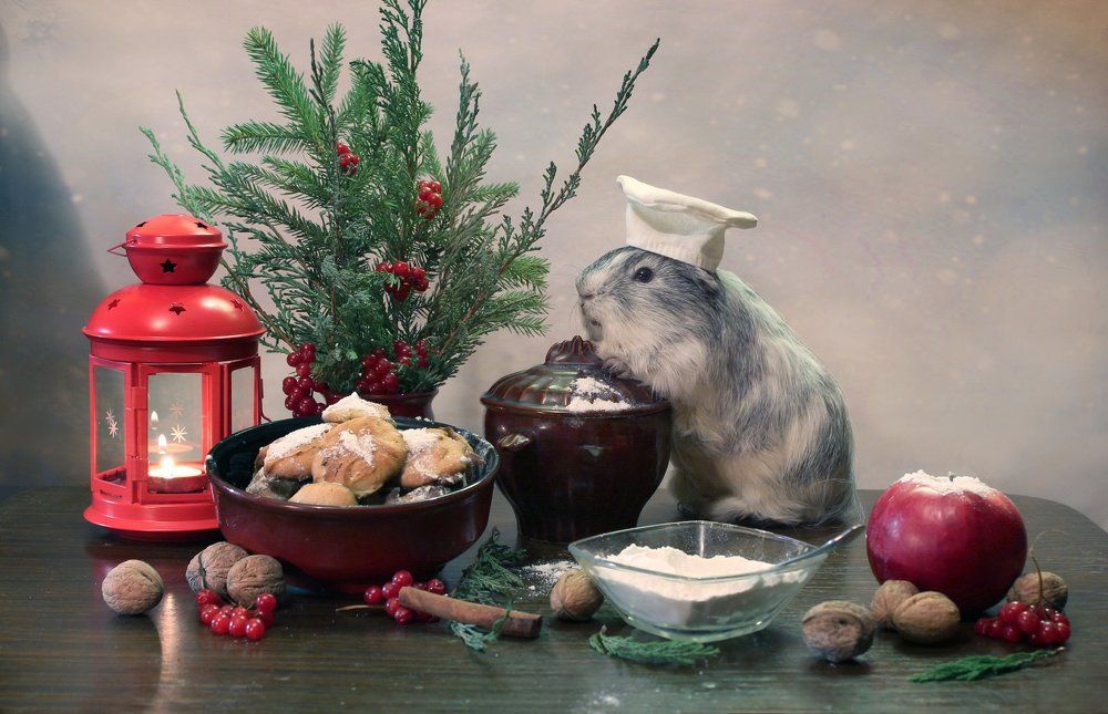 Пекарь печенья