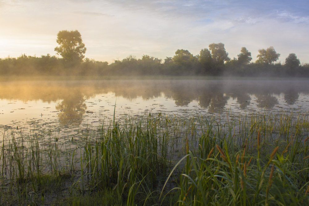 На утренней зорьке