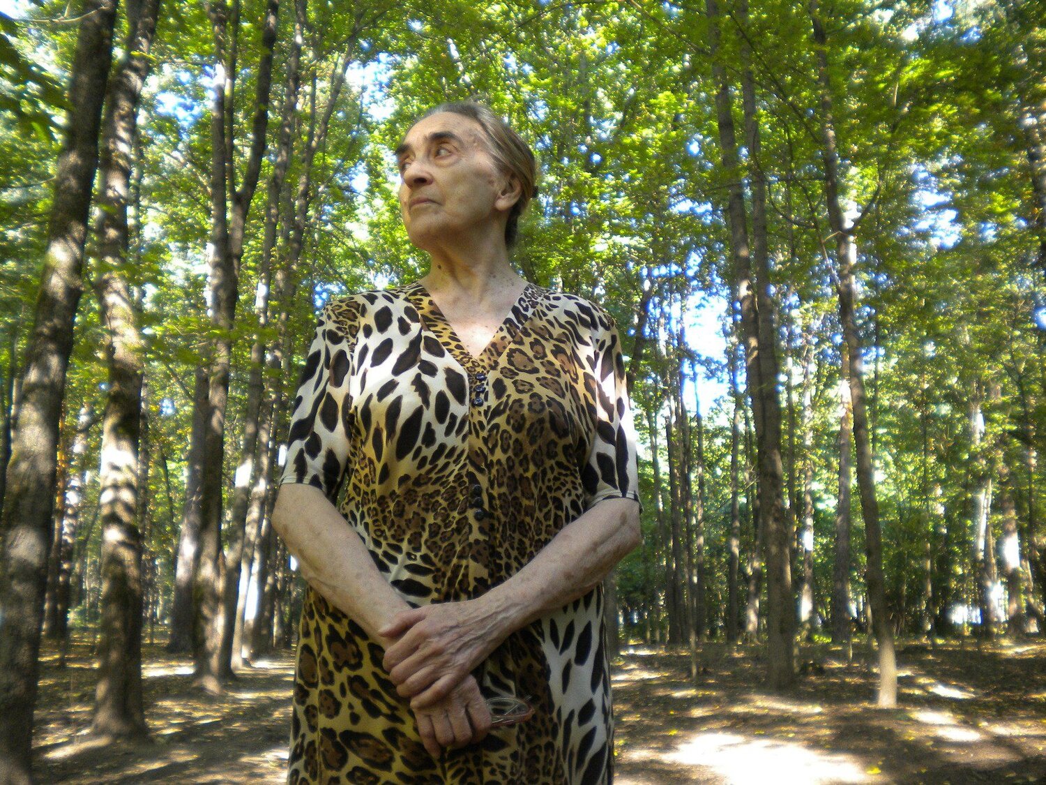 Photo #2482811