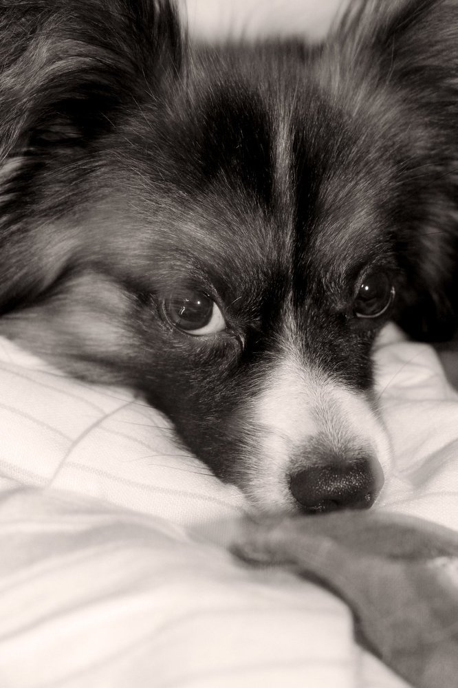 Photograph by Andrejs Peculevics