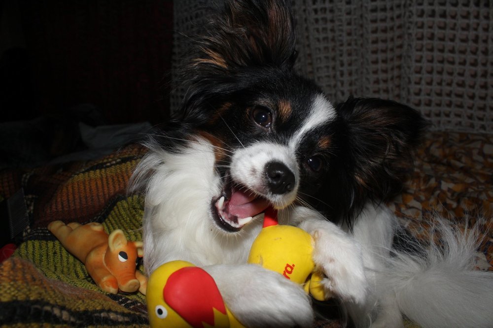 Photograph by Andrejs Peculevics