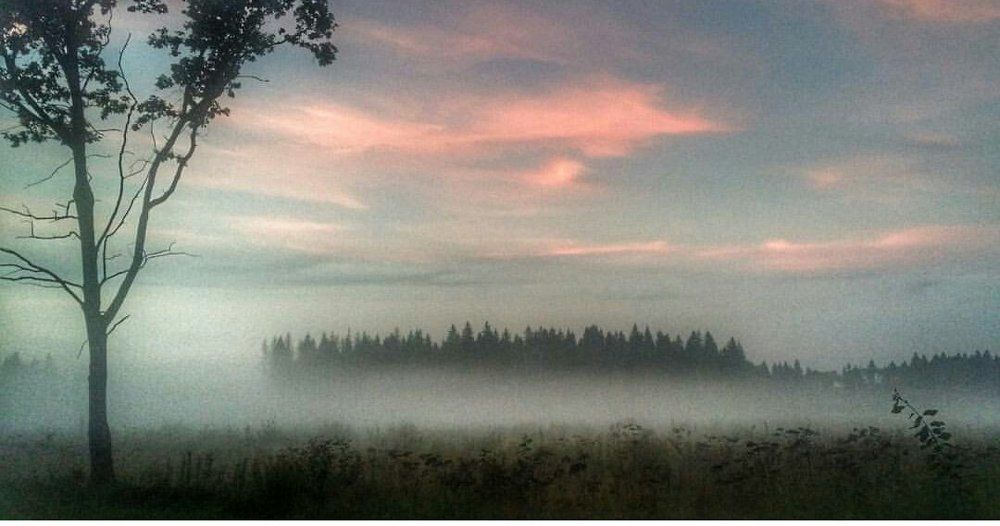 Фотография автора Комарова Наталья